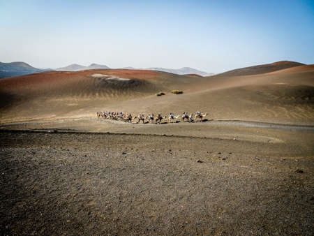 camel caravan on the volcano in Lanzaroteの写真素材