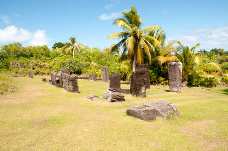 park of the mansion micronesiaの写真素材