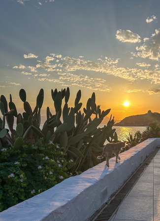 Sunset in Cagliari, Italyの写真素材