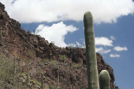 Arizona Mountain Desert Landscapeの写真素材