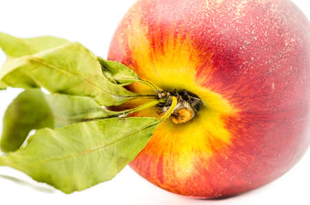 fresh juicy nectarines on the white backgroundの写真素材