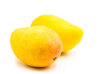 fresh mango fruit isolated on the white backgroundの写真素材