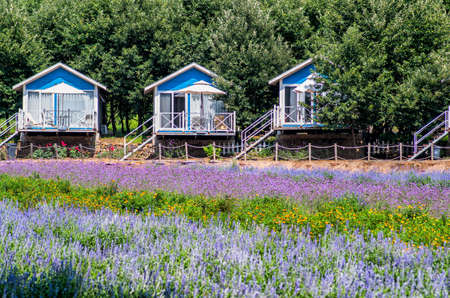 summer houses in a beautiful landscapeの写真素材