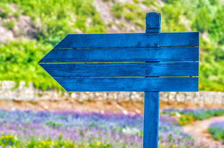purple flowers on meadow with a signの写真素材