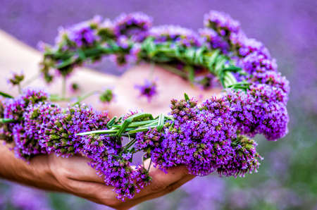 purple flower wreath on hands on nature backgroundの写真素材