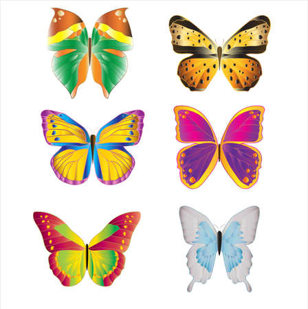 Set of colorful moths icon.のイラスト素材