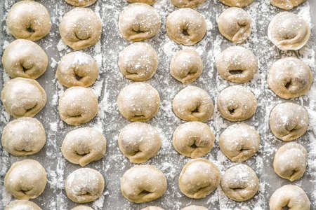 raw homemade dumplings in raws on a table covered with flour