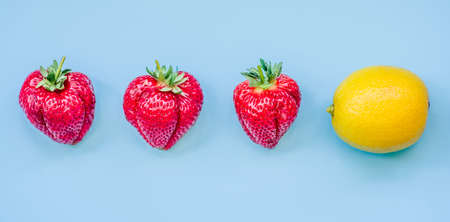 set of strawberries and a lemon in a line on blue backgroundの写真素材