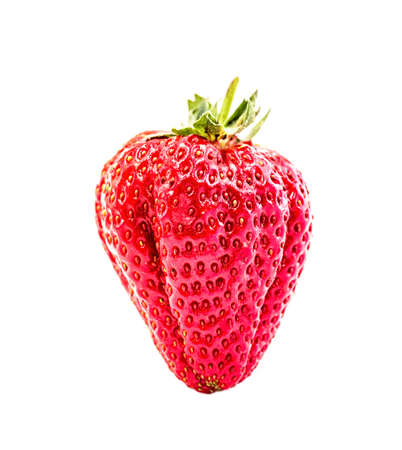 a strawberry isolated on the white backgroundの写真素材