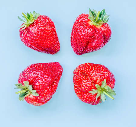 set of strawberries in a raw on blue backgroundの写真素材