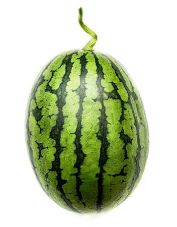 fresh whole watermelon isolated on whiteの写真素材