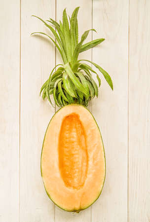 creative fruit concept. melon half with a pineapple top on white wooden backgroundの写真素材