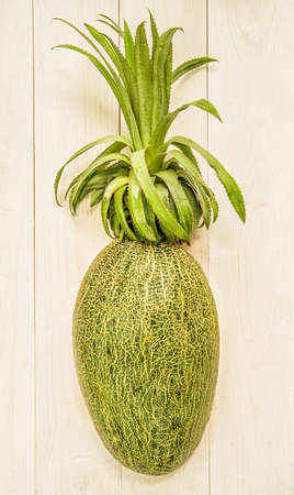 creative fruit concept. melon half with a pineapple top on white wooden backgroundの写真素材