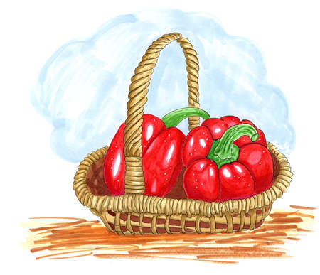 two red bell peppers in a basket isolated on white hand-drawn illustrationの写真素材