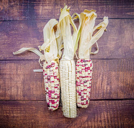 three corn cobs on dark wood backgroundの写真素材