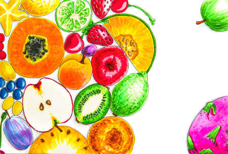 various fruit on white background hand drawn illustrationの写真素材