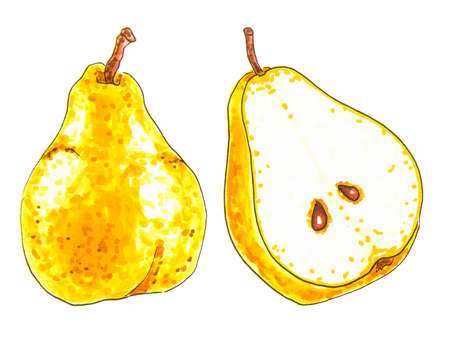 Pears isolated on white backgroundの写真素材