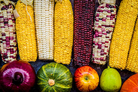 various corn cobs, fruits and vegetables on dark background. autumn harvesting conceptの写真素材