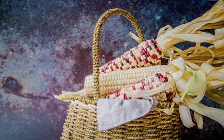 various corn cobs ina basket on dark background. autumn harvesting conceptの写真素材