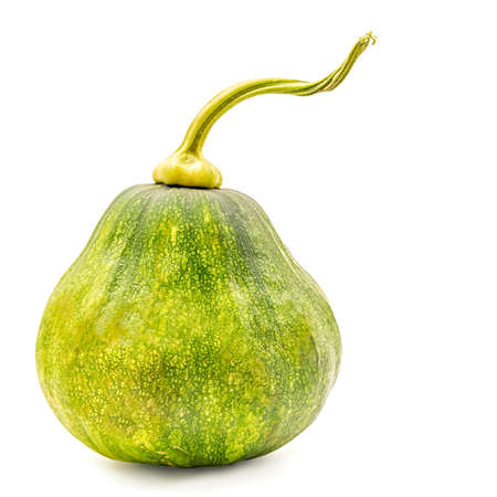 Green pumpkin with stem isolated on white with clipping pathの写真素材