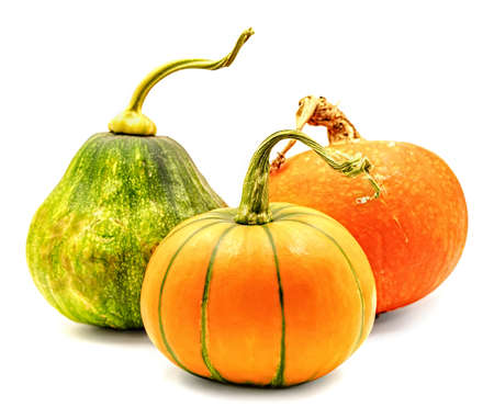 Set of yellow and green pumpkins isolated on white with clipping pathの写真素材