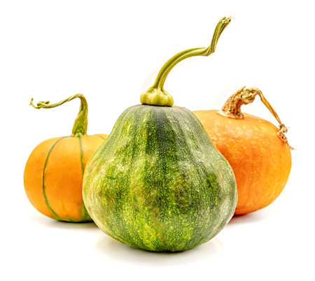 Set of orange and green pumpkins isolated on whiteの写真素材