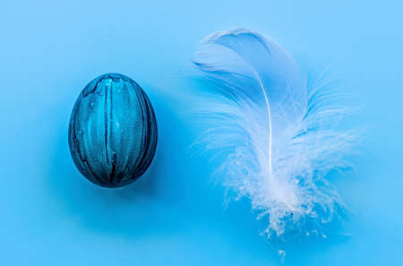 Easter holiday minimalistic concept. A blue egg and blue feather isolated on blue backgroundの写真素材