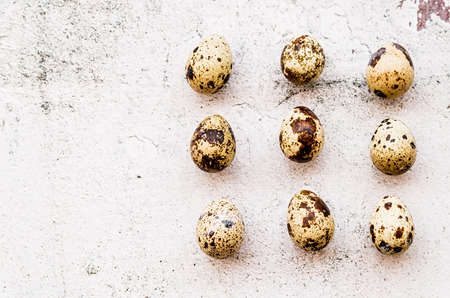 small quail eggs in a geometric pattern on textured backgroundの写真素材