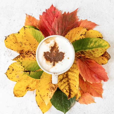 Autumn concept. White cup of coffee with cocoa on the top on colorful autumn leaves top view flat layの写真素材