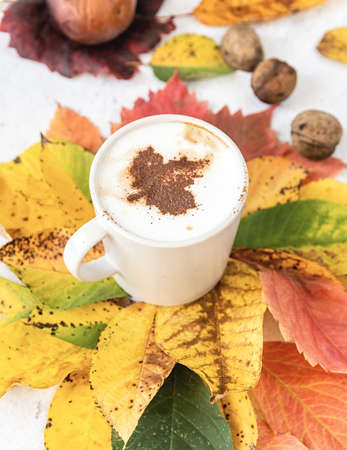 Autumn concept. White cup of coffee with cocoa on the top on colorful autumn leaves top view flat layの写真素材