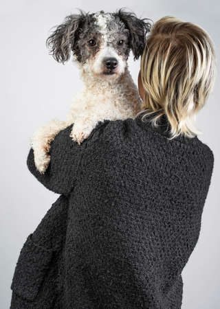 Portrait of happy woman in black cardigan on grey background with her bichon frise dogの写真素材