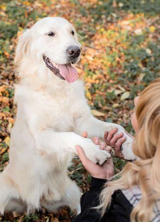 Pet care concept. Woman holdind paws of her dog