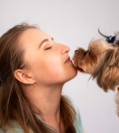 Pet love concept. Cute yorkshire terrier kissing her female owner on gray backgroundの写真素材