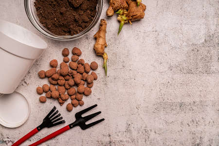 Gardening concept. Gardening tools, soil, draining rocks and ginger plant roots on gray concrete...
