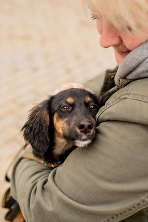 Pet care concept. Woman hugging her dog outdoorsの写真素材