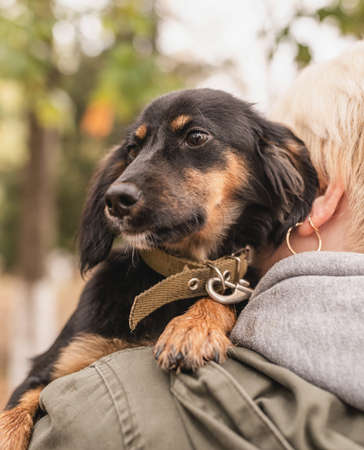 Woman hugging her puppy in the park