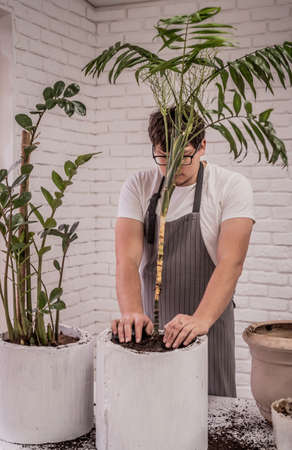 Gardening concept. Man planting a palm plant into a new handmade pot