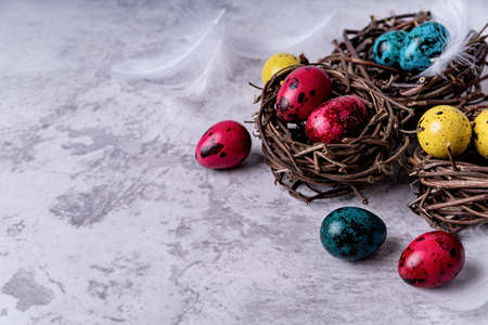 Easter holiday concept. Colored Easter quail eggs with feathers in a nest on gray marble background...