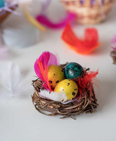 Easter concept. Easter quail eggs in a nest decorated with feathers on white table