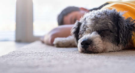 young man sleeping with his dog on the floor