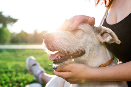 Pet care. Pet adoption. Young woman hugging her mixed breed dogの写真素材