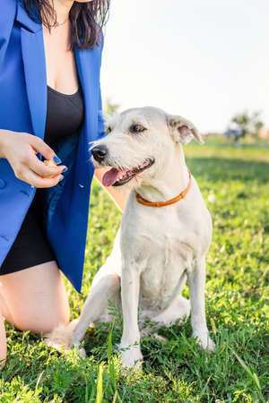 Pet care. Pet adoption. Beautiful young woman in sitting in grass with her mixed-breed dog pet