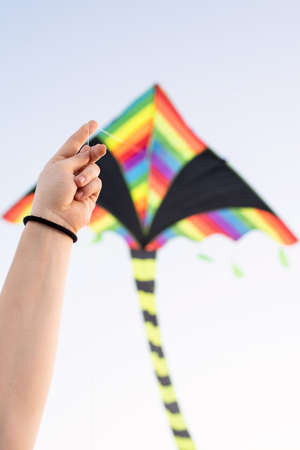 Active lifestyle. Happiness concept. Happy young woman running with a kite in a park at sunsetの写真素材