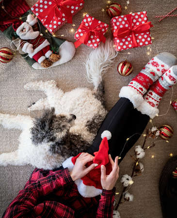 Christmas and New Year. Top view of woman in funny socks celebrating Christmasの写真素材