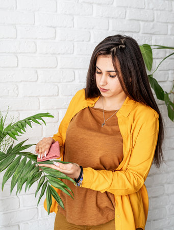 Home gardening. Woman gardener taking care of her home garden plants