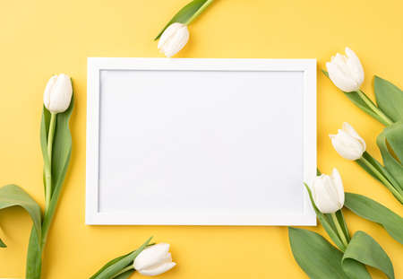 Top view of beautiful white tulips on yellow background with a blank frame