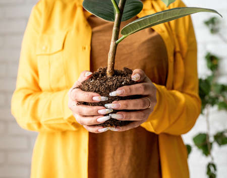 Home gardening. Woman gardener taking care of her home garden plants