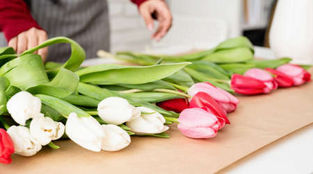 Valentine's Day and Women's Day. Small business. Woman florist making a bouquet of fresh colorful tulipsの写真素材