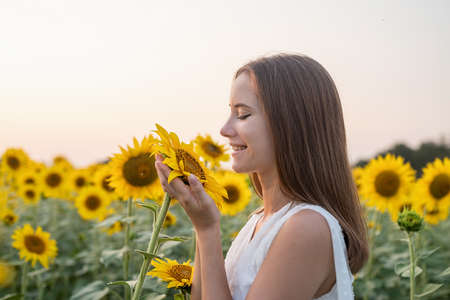 Freedom concept. Autumn nature. Girl in white dress smelling a sunflower blossom.の写真素材