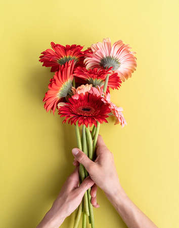 Pink and red gerbera daisies bouquet on green background. Minimal design flat lay. Female hands...